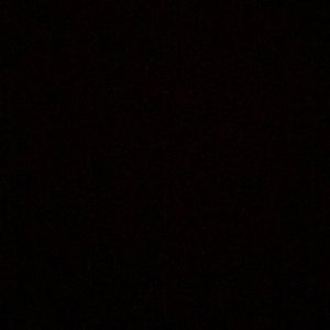 Meet your Posher, Will